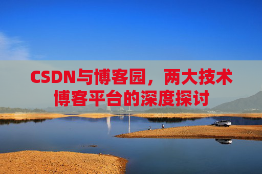 CSDN与博客园，两大技术博客平台的深度探讨